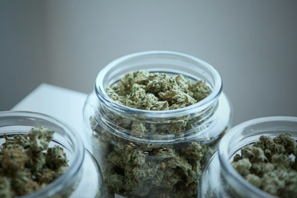 Your Trusted Guide to Choosing an Online Weed Dispensary in Canada